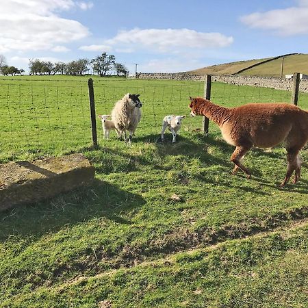 Ferny Rigg Byre - Uk3326 Villa Falstone Luaran gambar